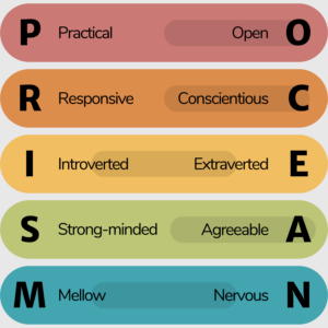 The Free Big Five OCEAN Personality Test (5 Minute Results)